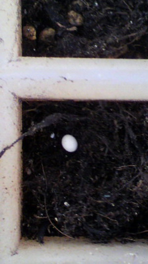 2011012510060000_2