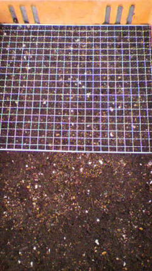 2011012511270000
