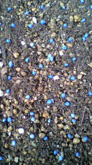2011012512030000
