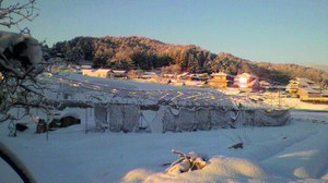 2011013107320000