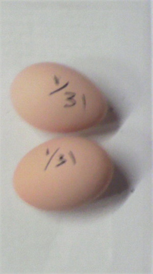 2011013115190000