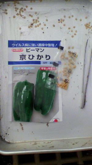 2011020111190000