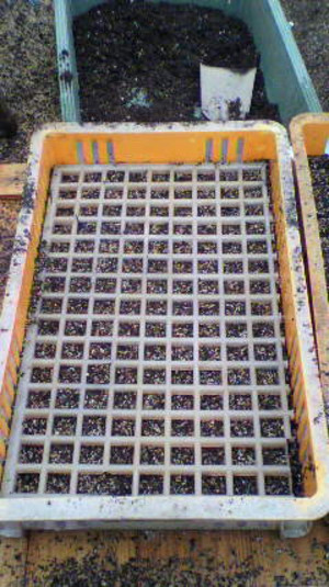 2011020111560000