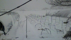 2011021209110000