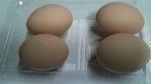 2011021615460000
