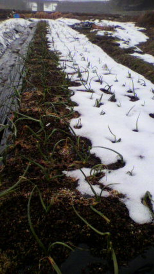 2011021707560000