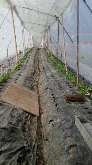 2011022211480000_3