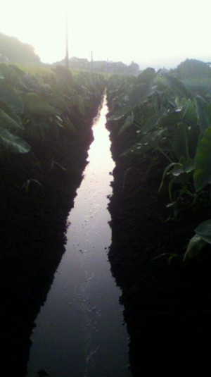 2011080405410000