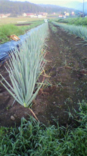 2011080405450000