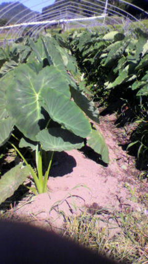 2011080409040000