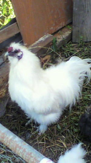 2011080416570000_2