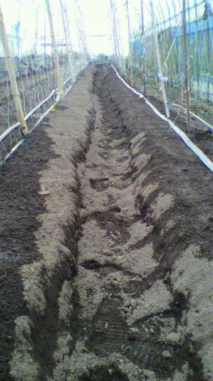 2011080917030000_2