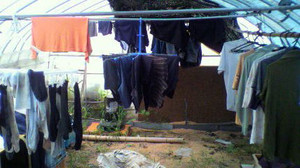 2011081016350000_2