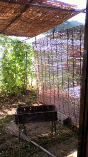 2011081411120000