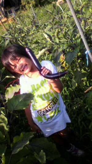2011081416460000