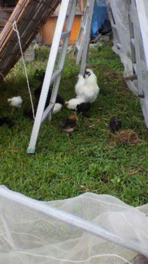 2011081711440000