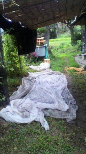 2011081914060000