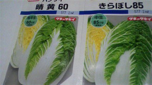 2011082005570000