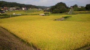 2011082916100000