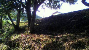 2011082917070000