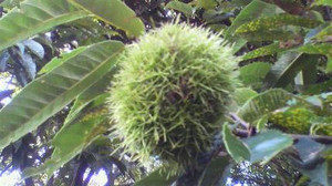 2011082917080000