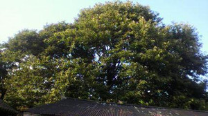 2011082917220000