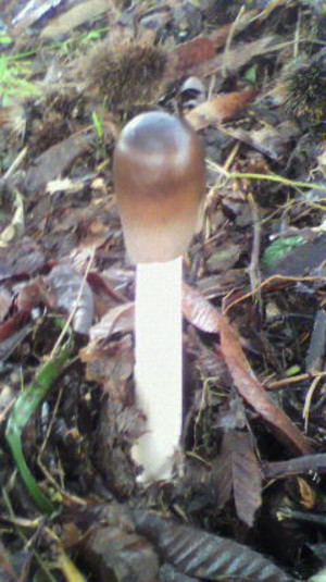 2011090507510000