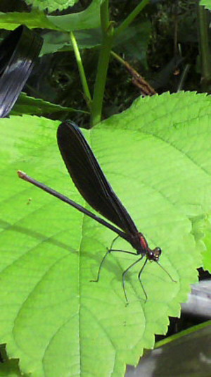 2011090508020000