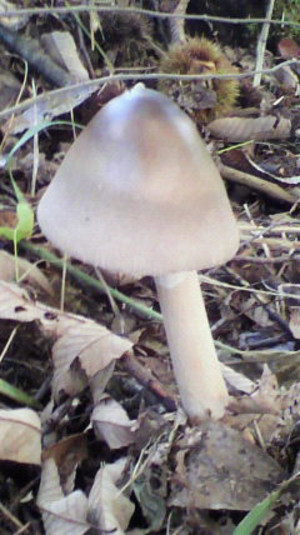 2011090517090000