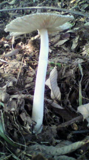 2011090616160000