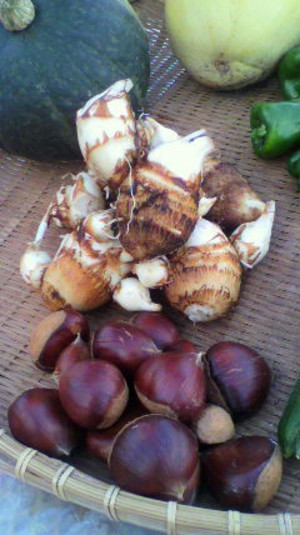 2011091217290000