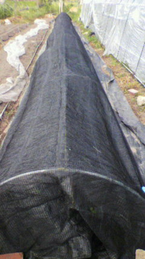 2011091410580000