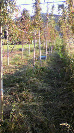 2011091517040001