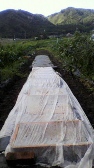 2011092210530000
