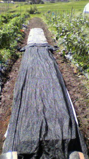 2011092210580000