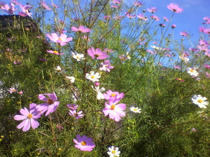 2011092409340000_2