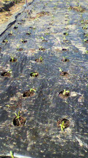 2011092710480000