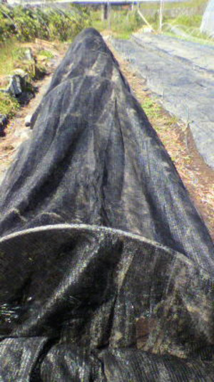 2011092710510000