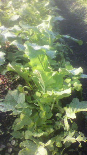 2011100107180000