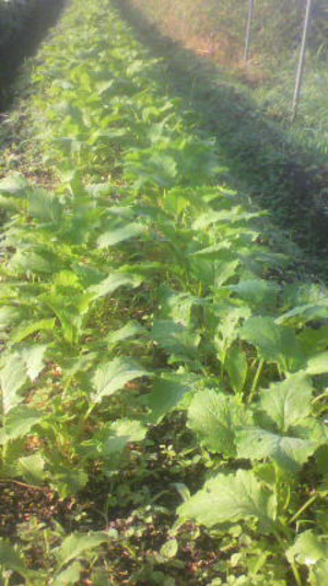 2011100107190000