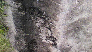 2011101009480000_2