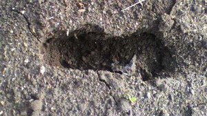 2011101009500000_2
