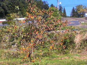 2011101810240000