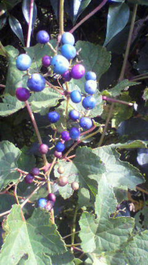 2011102013210000