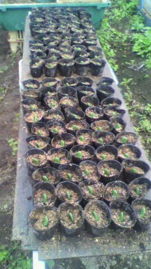 2011102209030000
