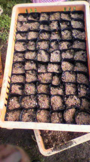 2011102409540000