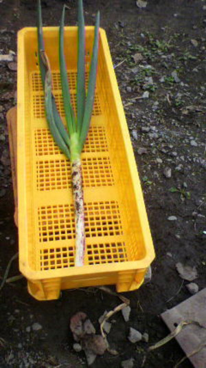 2011103113030000_4