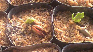 2011110108460000_2