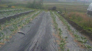 2011111808480000