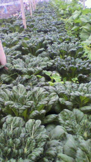 2011120109510000